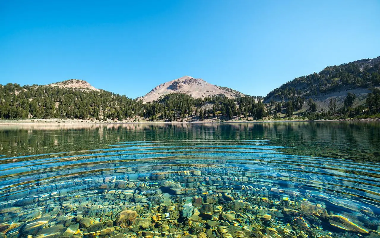 网络化独特智能